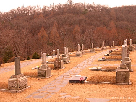 바람자리 이미지